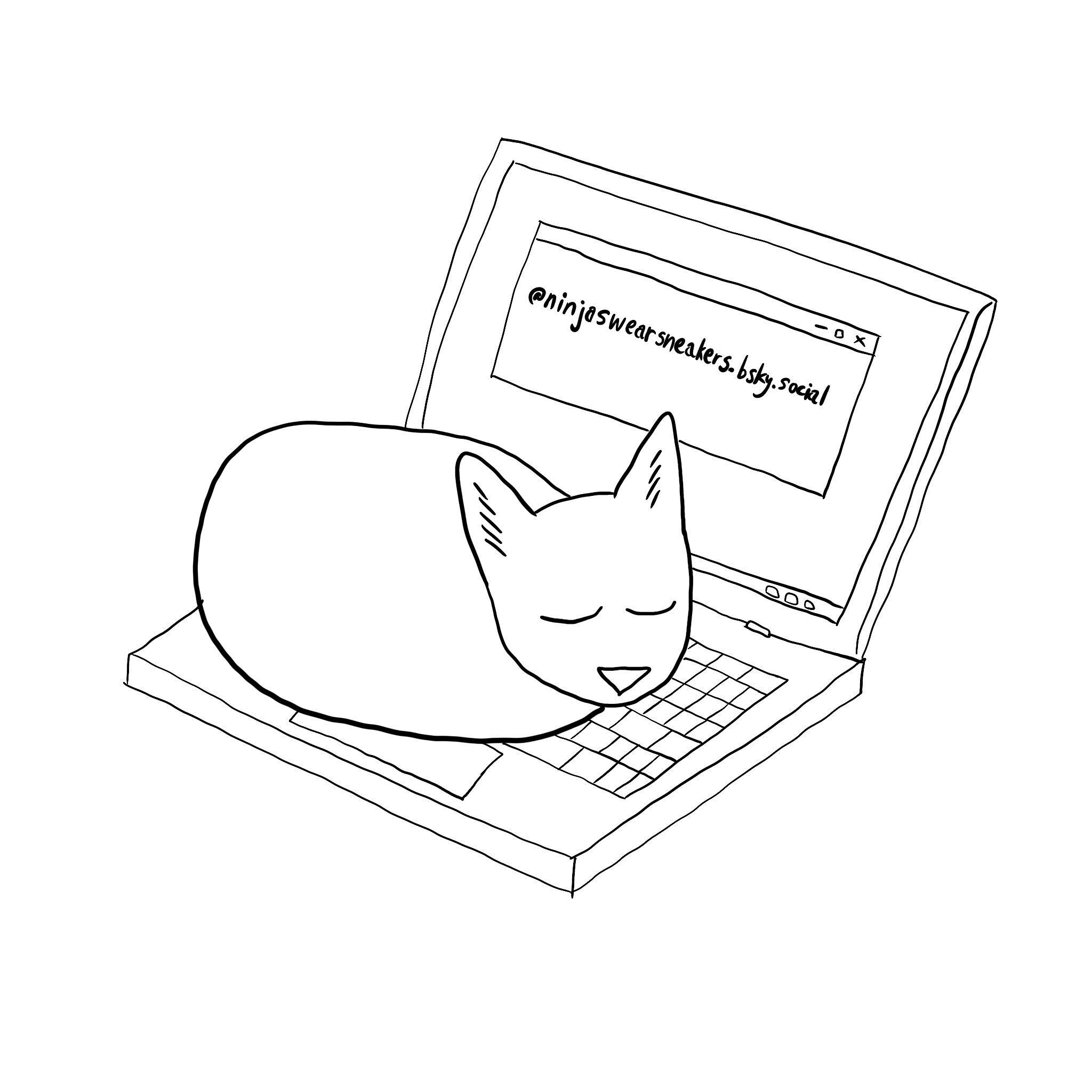 black and white drawing of a cat, sleeping loaf-style, on the keyboard of a laptop computer. the computer screen has the username @ninjaswearsneakers.bsky.social on it